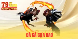 Đá gà cựa dao tại 79king