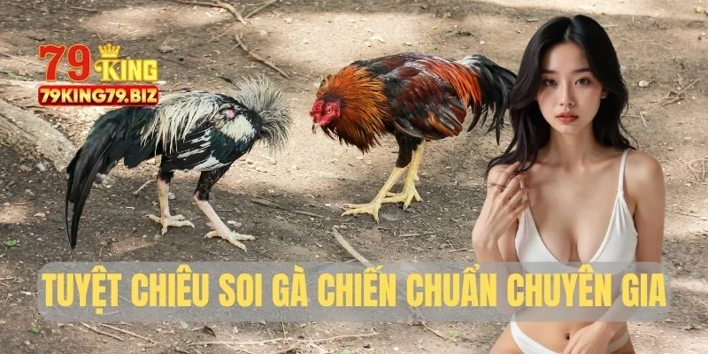 Tuyệt chiêu soi gà chiến chuẩn chuyên gia